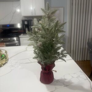 Festive Green Miniature Christmas Tree with Red Base